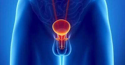 ما هي الخصية المعلقة؟ ما هي الخصية المعلقة؟