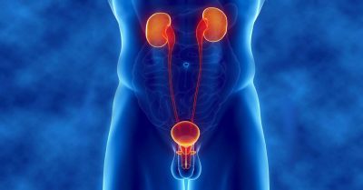 Prostat Enfeksiyonu Prostat Enfeksiyonu