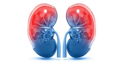 Böbrek Enfeksiyonu Böbrek Enfeksiyonu