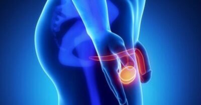 Erektil Disfonksiyon Erektil Disfonksiyon